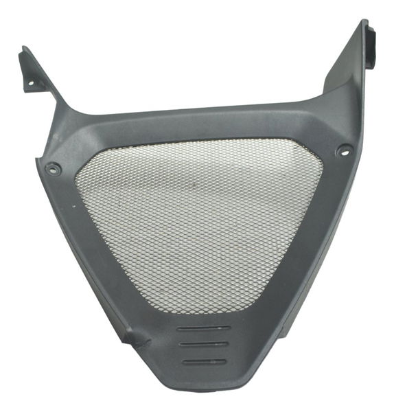 Protetor Radiador Óleo Ducati Diavel 1260 19-22 Original