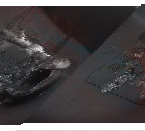 Carenagem Lateral Direita C/ Avaria Cg 125 Fan 2011 Paralela