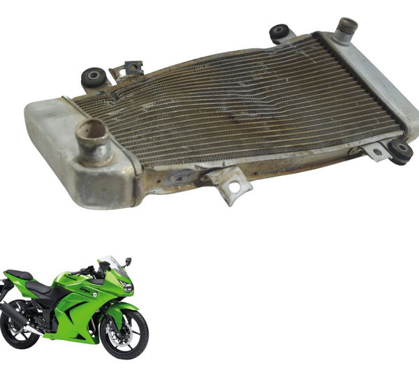 Radiador C/ Avaria Kawasaki Ninja 250 R 08-12 Original