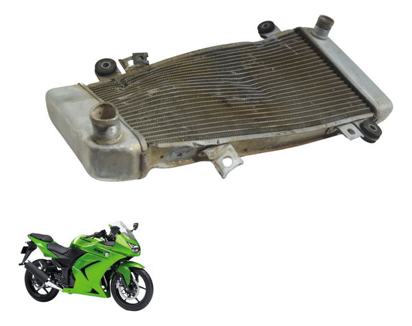 Radiador C/ Avaria Kawasaki Ninja 250 R 08-12 Original