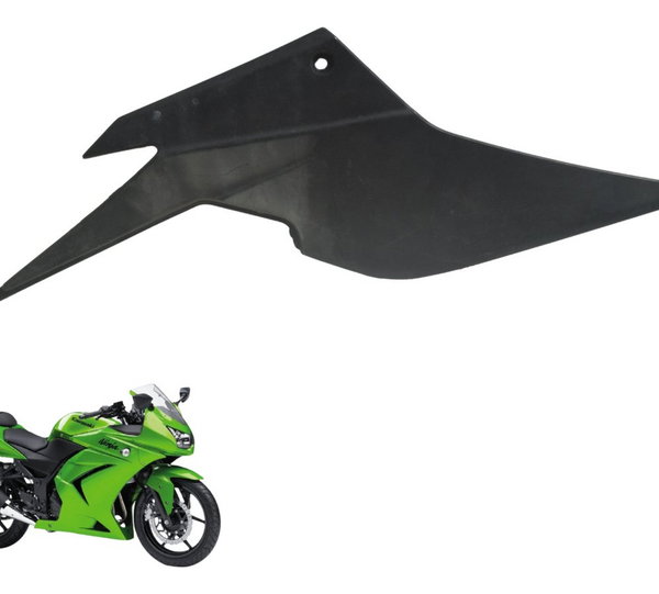 Acabamento Lateral Esq Kawasaki Ninja 250 R 08-12 Orig
