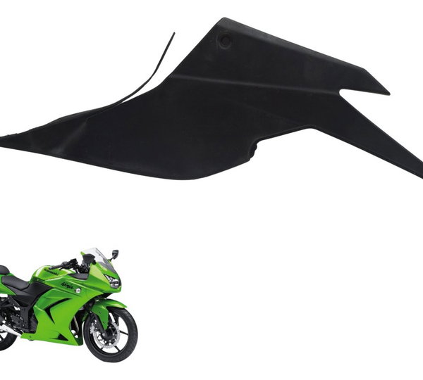 Carenagem Lat Dir C/ Avaria Kawasaki Ninja 250 R 08-12 Orig
