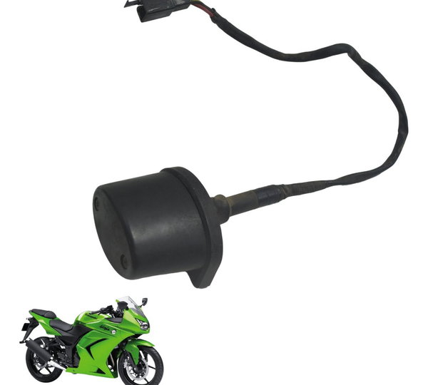 Luz Placa Kawasaki Ninja 250 R 08-12 Original