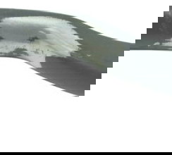 Manete Freio C/ Detalhes Kawasaki Ninja 250 R 08-12 Original