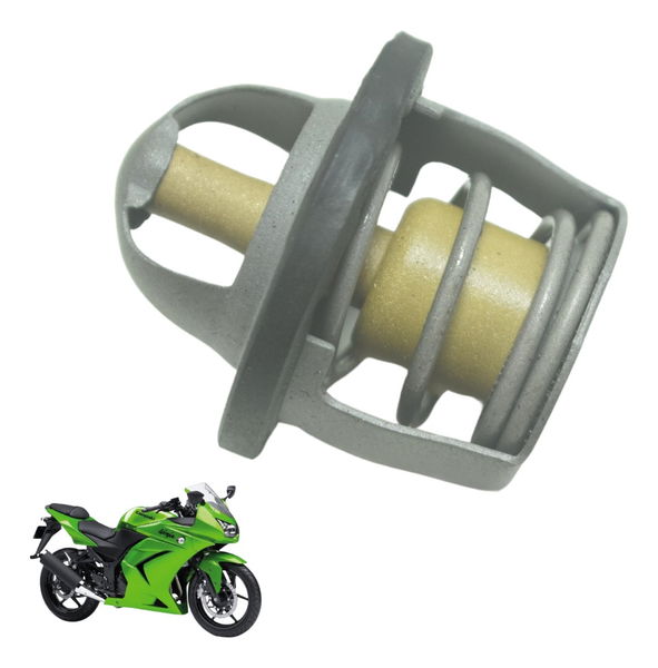 Válvula Termostática Kawasaki Ninja 250 R 08-12 Original