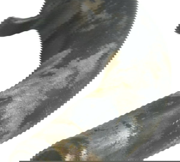 Conexão Água Kawasaki Ninja 250 R 08-12 Original