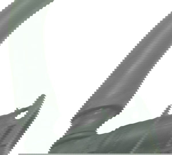 Mangueira Injeção Kawasaki Ninja 250 R 08-12 Original