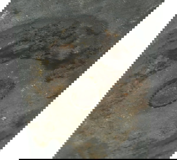 Par Suporte C/ Avaria Kawasaki Ninja 250 R 08-12 Original