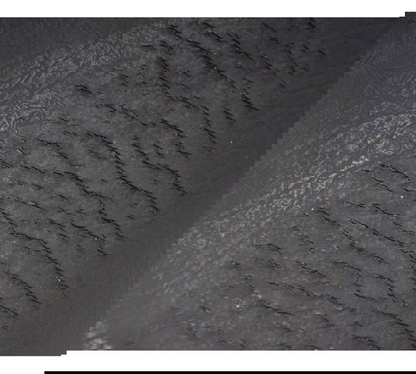 Banco C/ Detalhes Honda Cb 500 98-05 Original