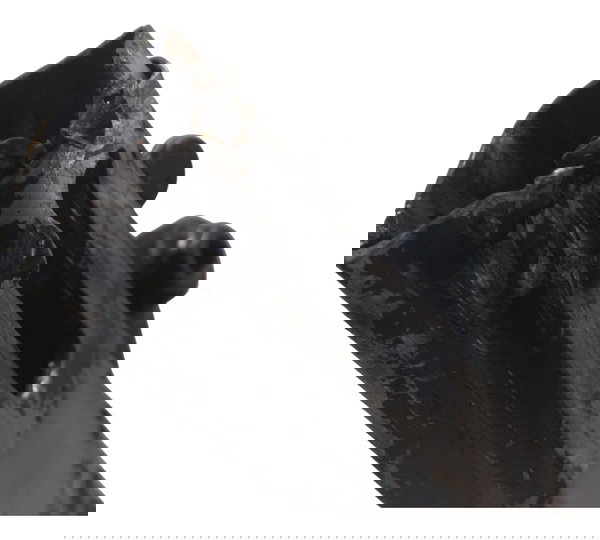 Quadro Elástico C/ Avaria Honda Cb 500 98-05 Orig