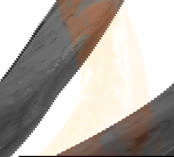 Curva Escape C/ Avaria Honda Cb 500 98-05 Original