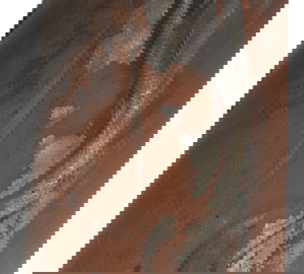 Curva Escape C/ Avaria Honda Cb 500 98-05 Original