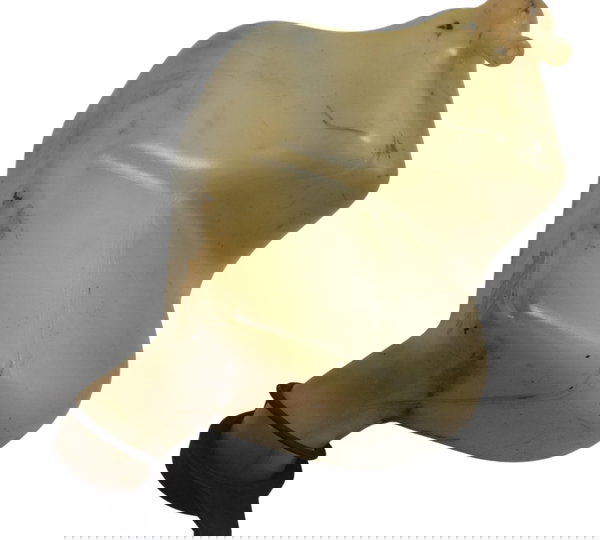 Reservatório Água Honda Cb 500 98-05 Original