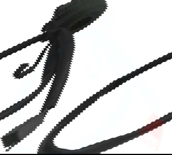 Chave Punho Partida C/ Avaria Honda Cb 500 98-05 Original