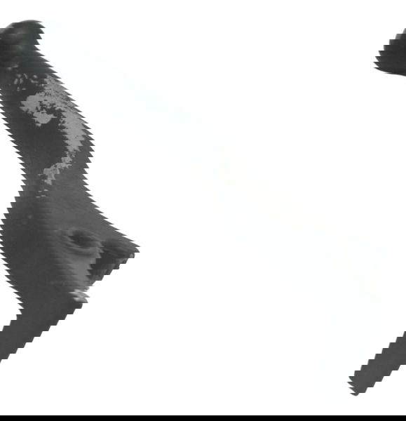 Manete Freio C/ Detalhes Honda Cb 500 98-05 Original