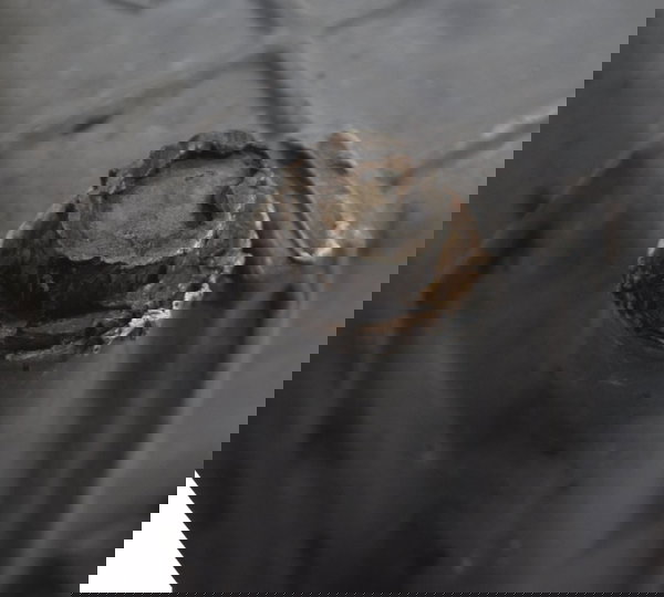 Tampa Motor Cárter C/ Detalhes Honda Cb 500 98-05 Original