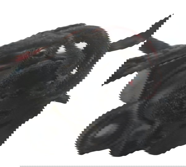 Miolo Ignição C/ Avaria Honda Cb 500 98-05 Original