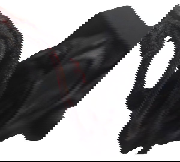 Miolo Ignição C/ Avaria Honda Cb 500 98-05 Original