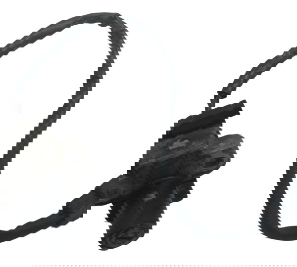 Miolo Ignição C/ Detalhes Honda Cb 500 98-05 Original