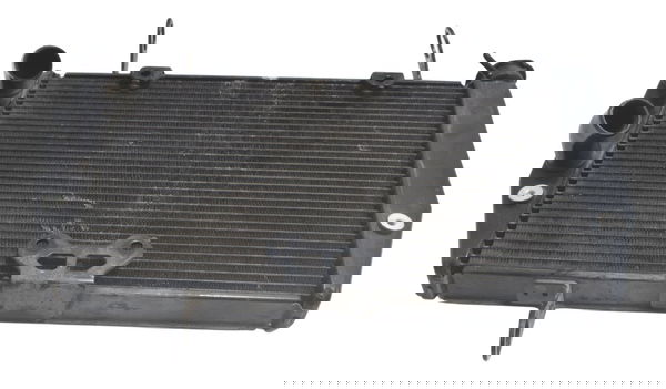 Radiador C/ Detalhes Ducati Multistrada 1200 10-14 Original