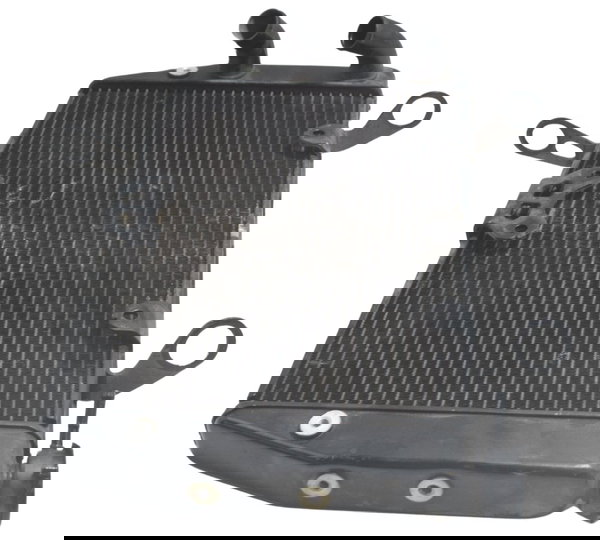 Radiador C/ Detalhes Ducati Multistrada 1200 10-14 Original