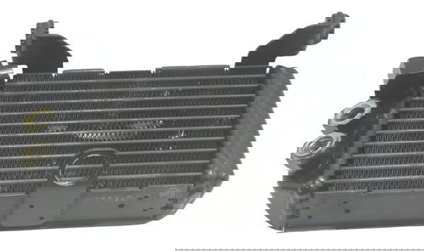 Radiador Óleo Ducati Multistrada 1200 10-14 Original