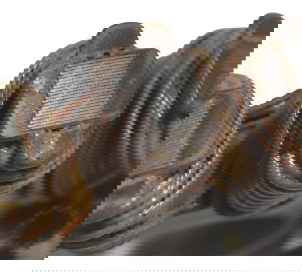 Estator Ducati Multistrada 1200 10-14 Original