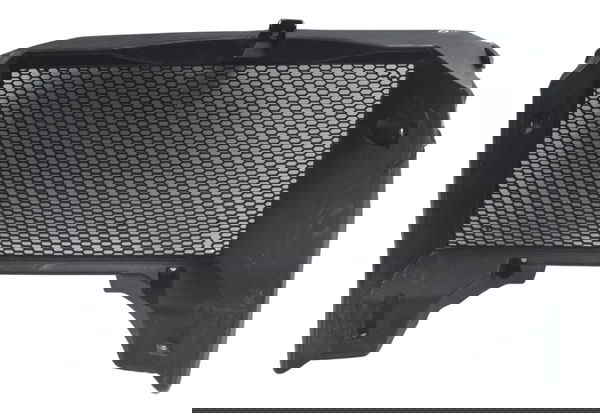 Grade Protetor Radiador C/ Detalhes Bmw F 800 Gs 13-16 Orig