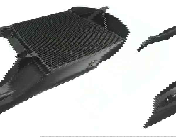 Grade Protetor Radiador C/ Detalhes Bmw F 800 Gs 13-16 Orig