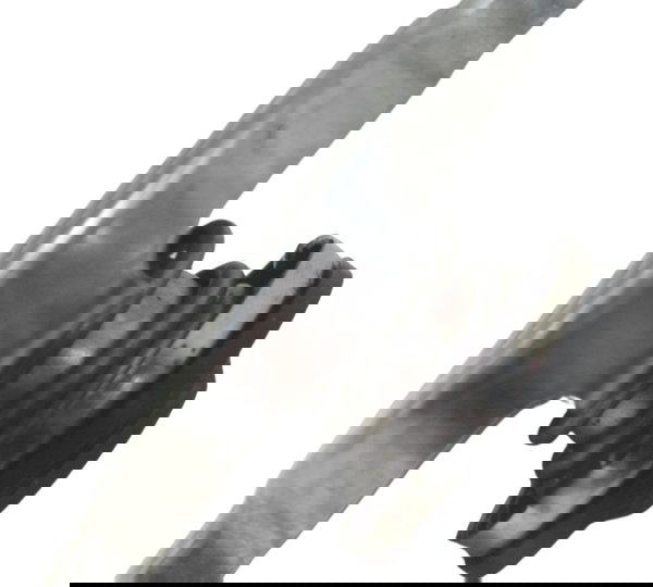 Tampa Radiador Bmw F 800 Gs 13-16 Original