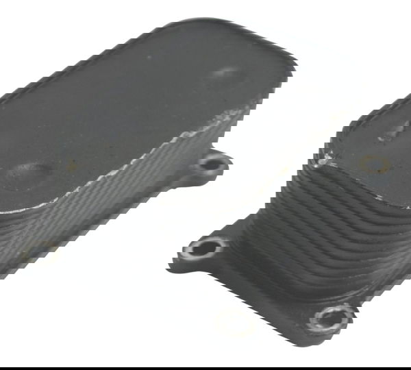 Resfriador Óleo C/ Detalhes Bmw F 800 Gs 13-16 Original