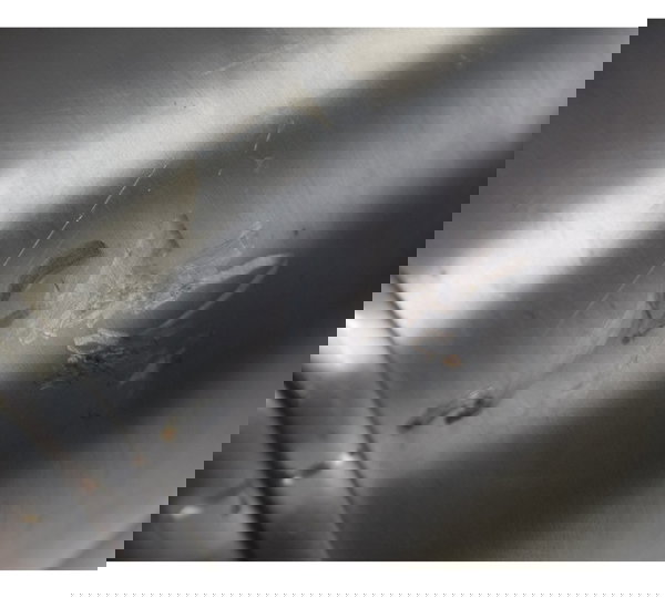 Ponteira Escape Bmw F 800 Gs 13-16 Original