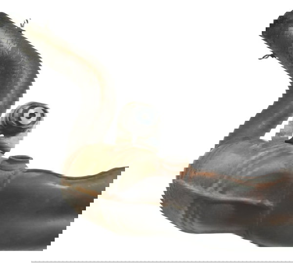 Curva Escape C/ Avaria Bmw F 800 Gs 13-16 Original