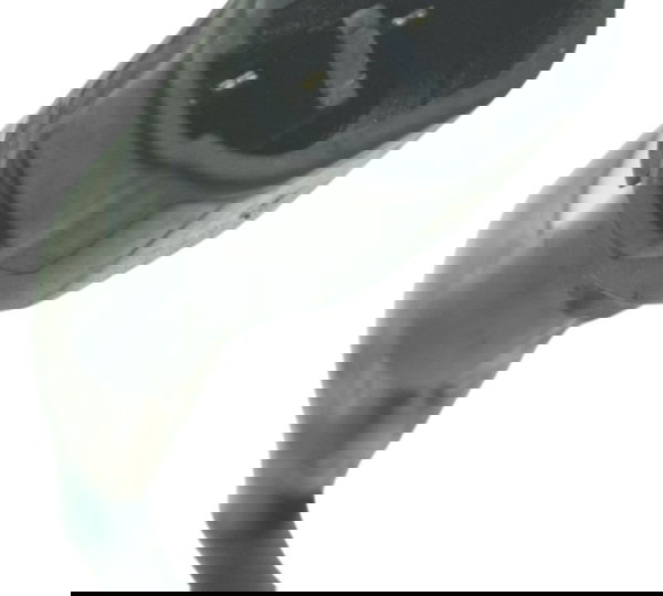 Pisca Dianteiro Esquerdo C/ Avaria Kawasaki Er6n 10-12 Orig