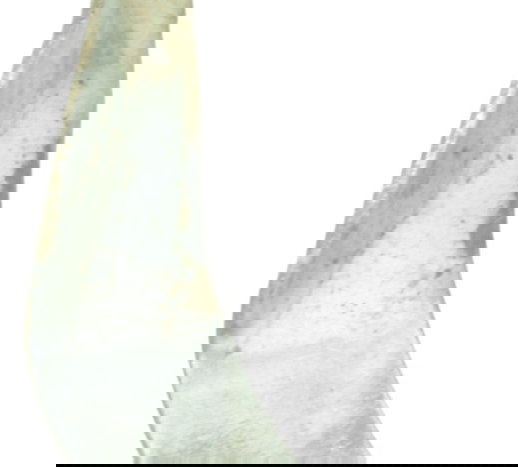 Suporte Mola Cavalete Honda Cg 160 16-22 Original