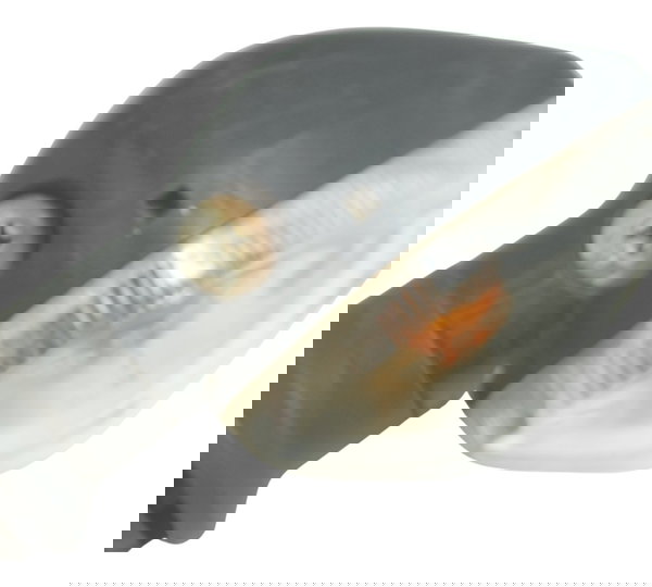 Pisca Traseiro Esquerdo Honda Cg 160 16-22 Orig