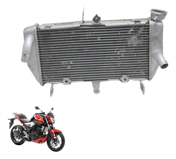 Radiador C/ Avaria Yamaha Mt 03 16-19 Original