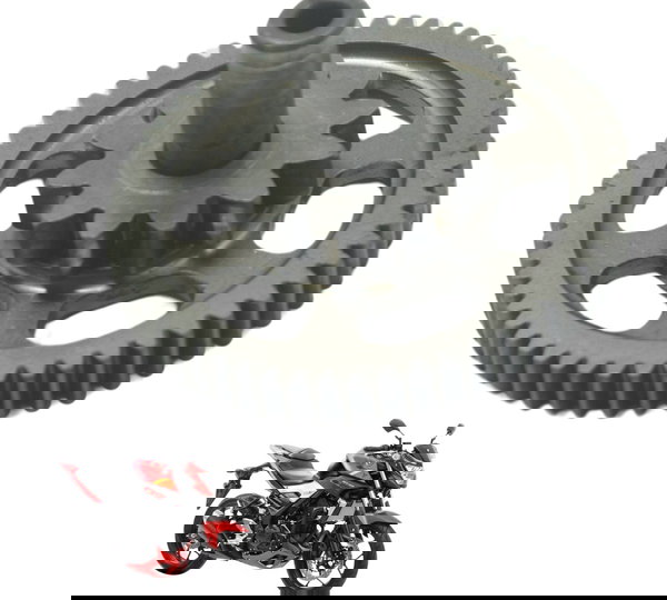 Engrenagem Partida Yamaha Mt 03 16-19 Original