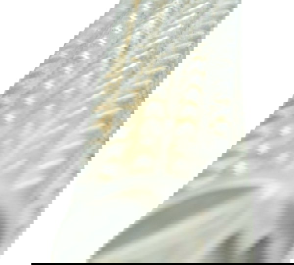 Pedaleira Dianteira Direita Yamaha Mt 03 16-19 Original