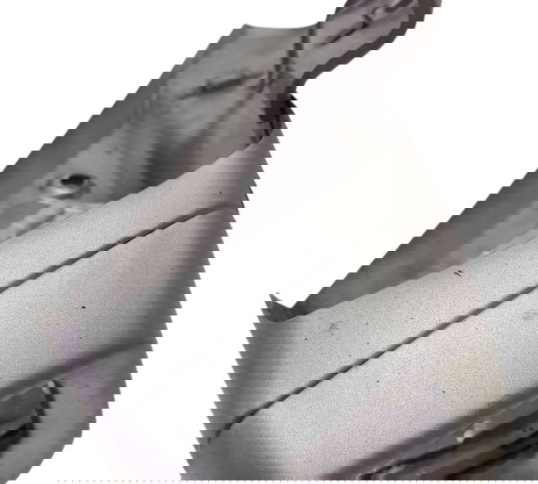 Protetor Escapamento Honda Cbr 650r 2024 Ori Descrição 53821