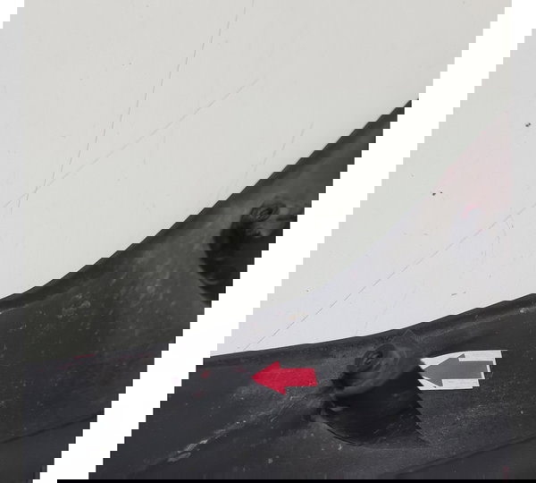 Carenagem Acabamento Tanque Esq Honda Cb 500f 019 Orig 43509