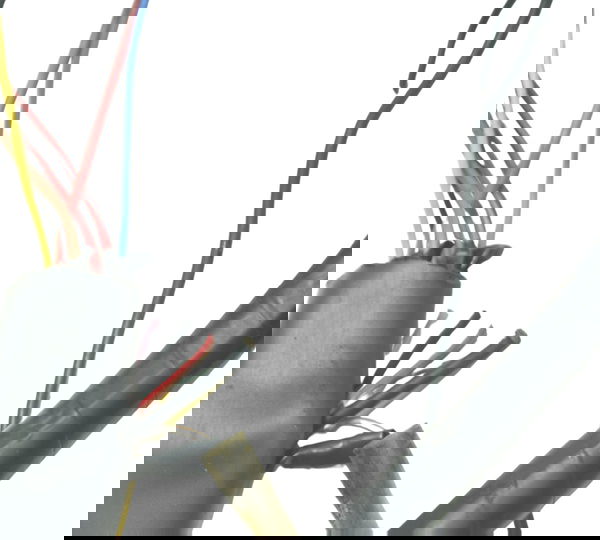 Chicote Principal C/ Avaria Yamaha Xvz 1300 Royal Star 96-01