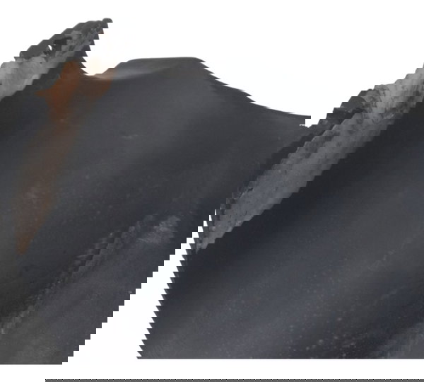 Acabamento Superior Dir Det Yamaha Xvz 1300 Royal Star 96-01