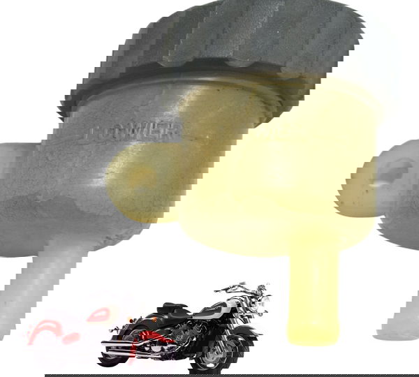 Reservatório Freio Traseiro Yamaha Xvz 1300 Royal Star 96-01