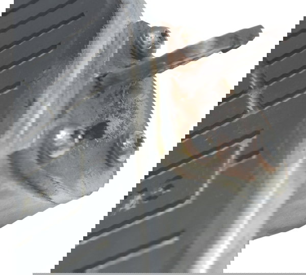 Plataforma Esq Avaria Paralelo Suzuki Boulevard M 800 05-08