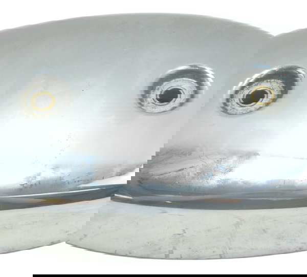 Capa Válvula Pear Suzuki Boulevard M 800 05-08 Original