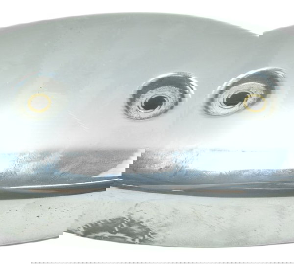 Capa Válvula Pear Suzuki Boulevard M 800 05-08 Original