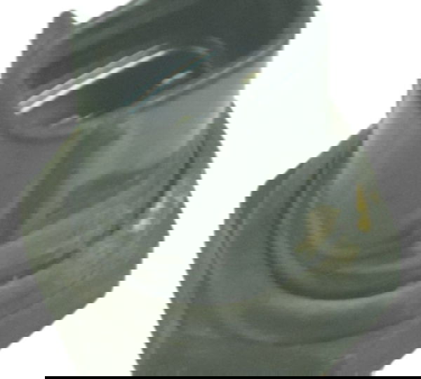 Sensor Água Suzuki Boulevard M 800 05-08 Original