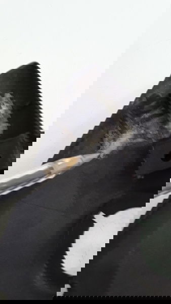 Carenagem Frontal Bananinha L/e Honda Cg 160 Fan Orig. 15329