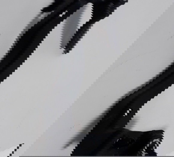 Suporte Chicote Painel Bmw F800r 2015 Original (7432)